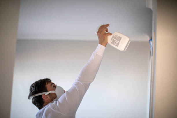 Best Office Mold Removal Services  in Bude, MS