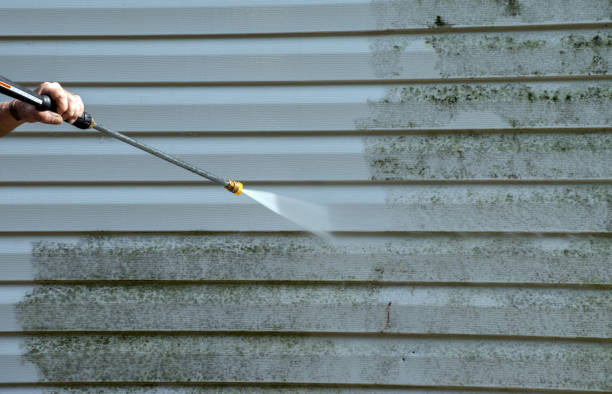 Best Same-Day Mold Removal  in Bude, MS