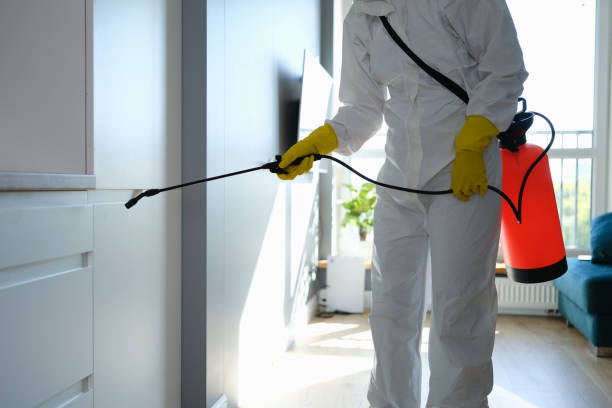 Best Mold Removal Near Me  in Bude, MS