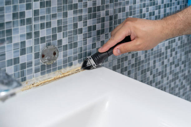Best Certified Mold Removal  in Bude, MS