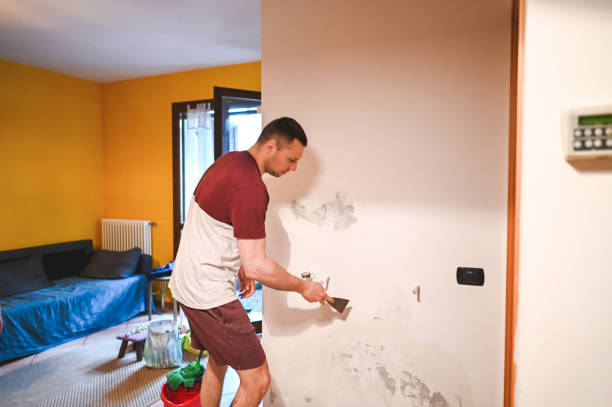 Best Commercial Mold Removal  in Bude, MS